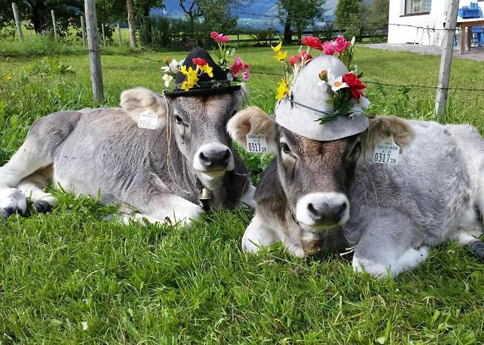 Vakantieboerderij Frandlhof *