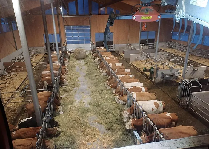 Frandlhof Vakantieboerderij