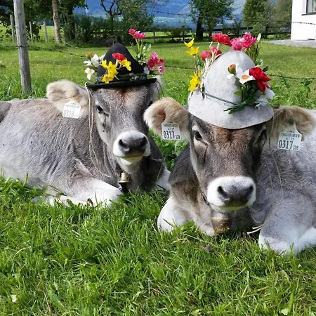Vakantieboerderij Frandlhof *